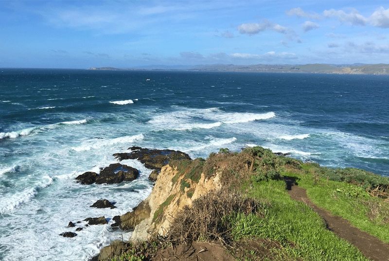 Tomales Point Trail, Point Reyes National Seashore — California