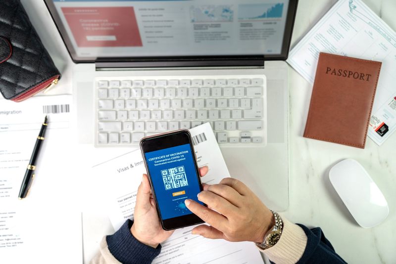 Understand Advanced Passenger Information Requirements