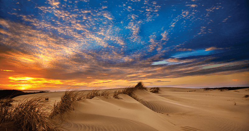 Jockey's Ridge State Park (Tallest Active Dune on the Atlantic) — Nags Head, North Carolina