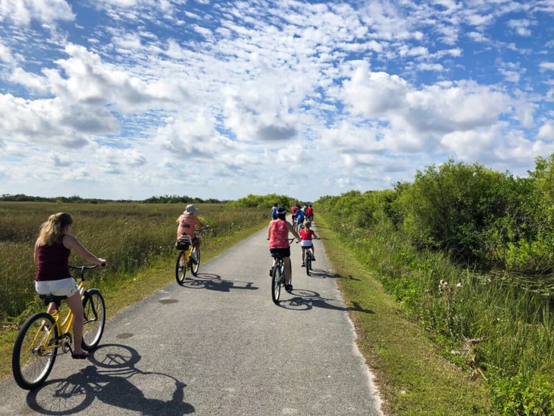 Everglades National Park – Shark Valley Adventure