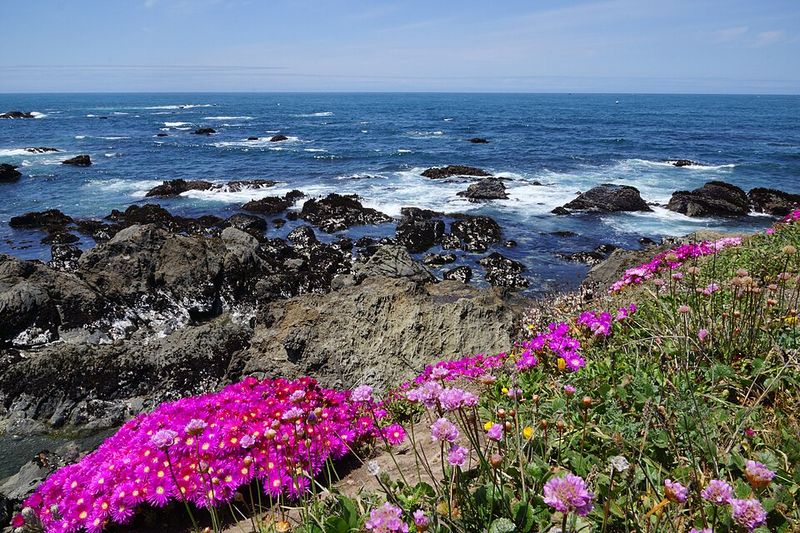 Mendocino, California
