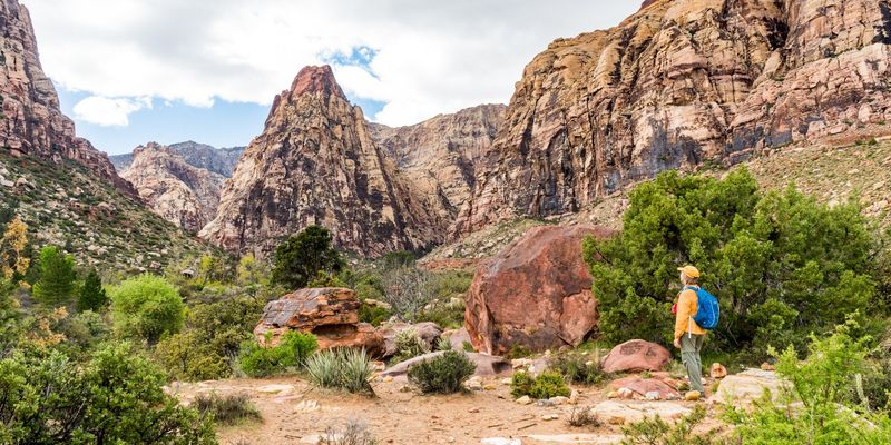 Pine Creek Canyon (Red Rock Canyon)