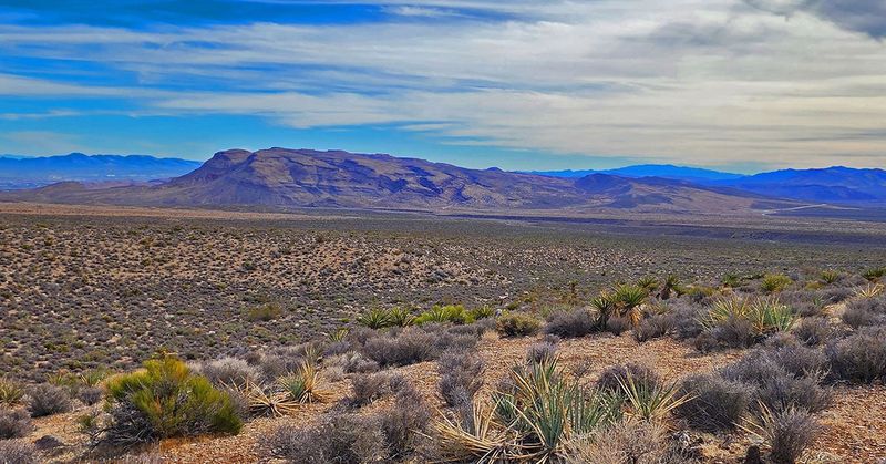 Las Vegas Overlook via Muffin Ridge (Blue Diamond Hill)