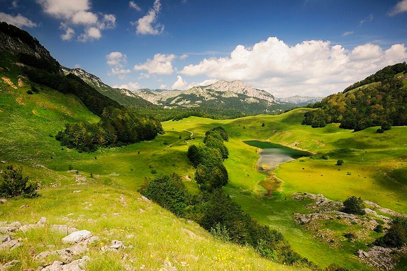 Sutjeska National Park - Wilderness Untamed