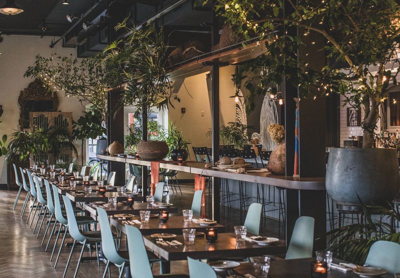 Alma Cocina Latina (Station North) — Vibrant Venezuelan Flavors