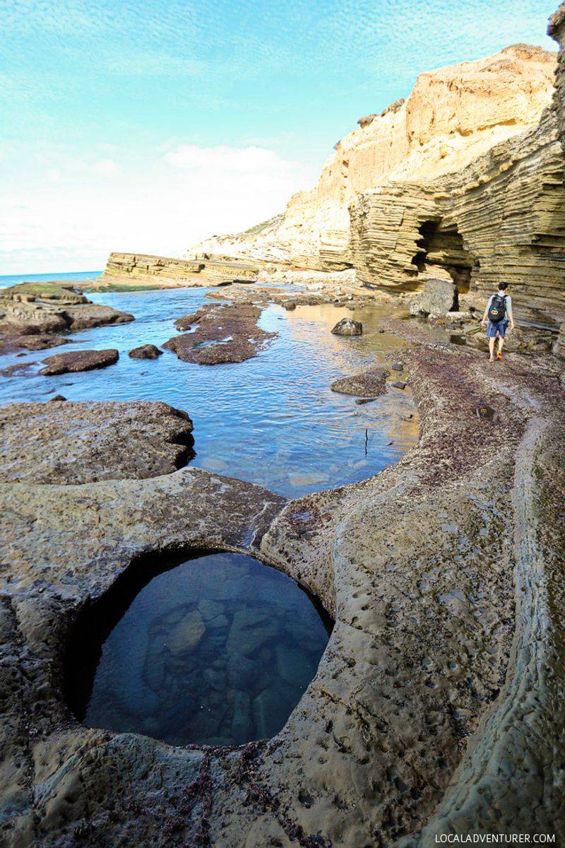 Cabrillo National Monument Tidepools, Point Loma, San Diego, California