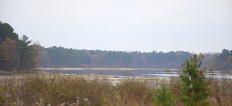 Elvis Presley Lake – Tupelo, MS