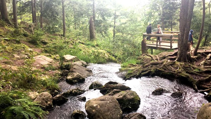 Buttermilk Falls