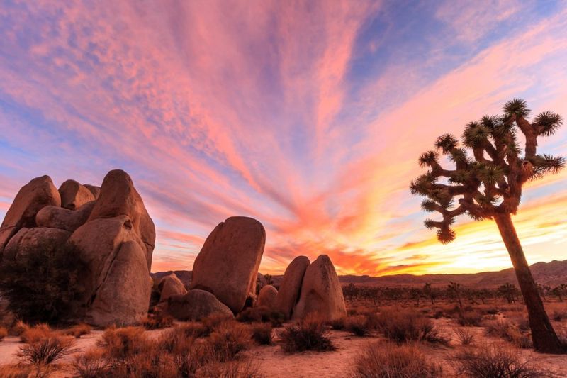 San Diego to Joshua Tree National Park