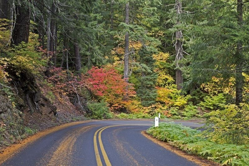 Descending Back to Sisters via Winds & Forest