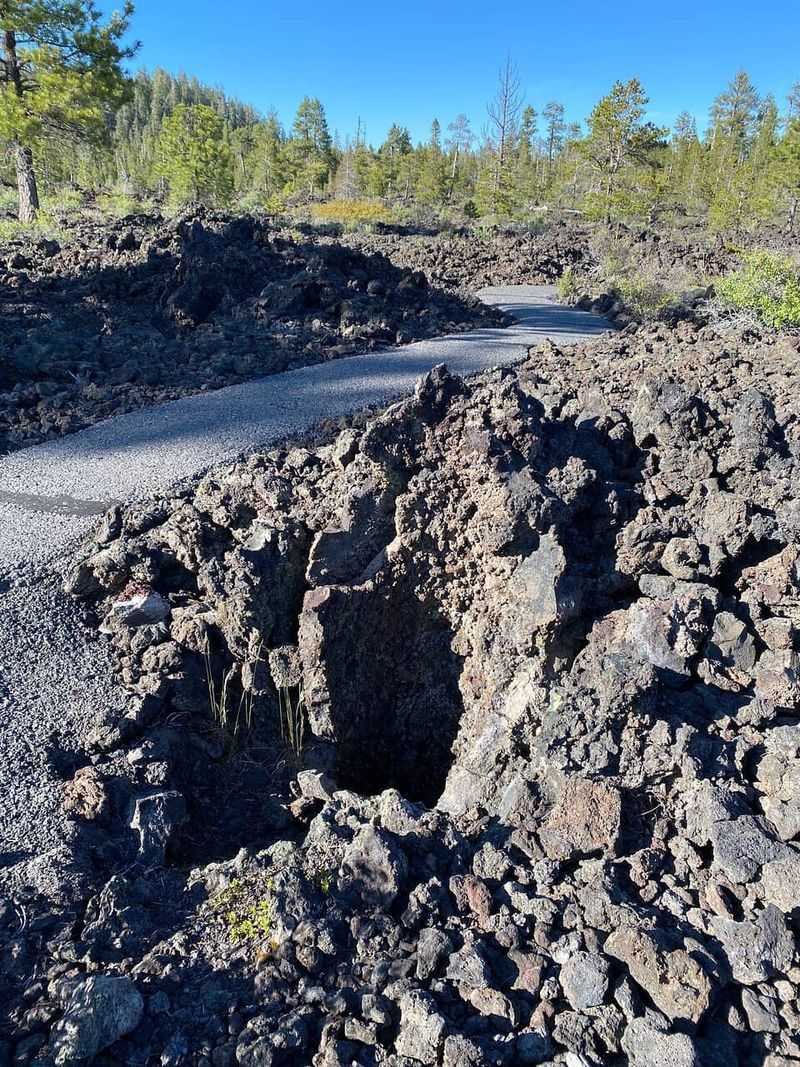 Lava Cast Forest Loop — Newberry National Volcanic Monument, Oregon