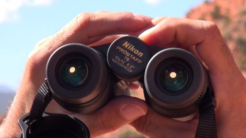 Nikon Prostaff 7S 8×30 / 10×30