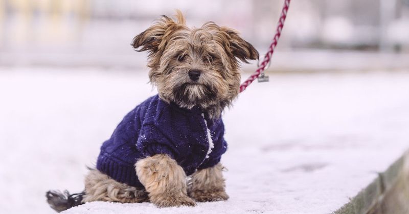 Forgetting Hydration