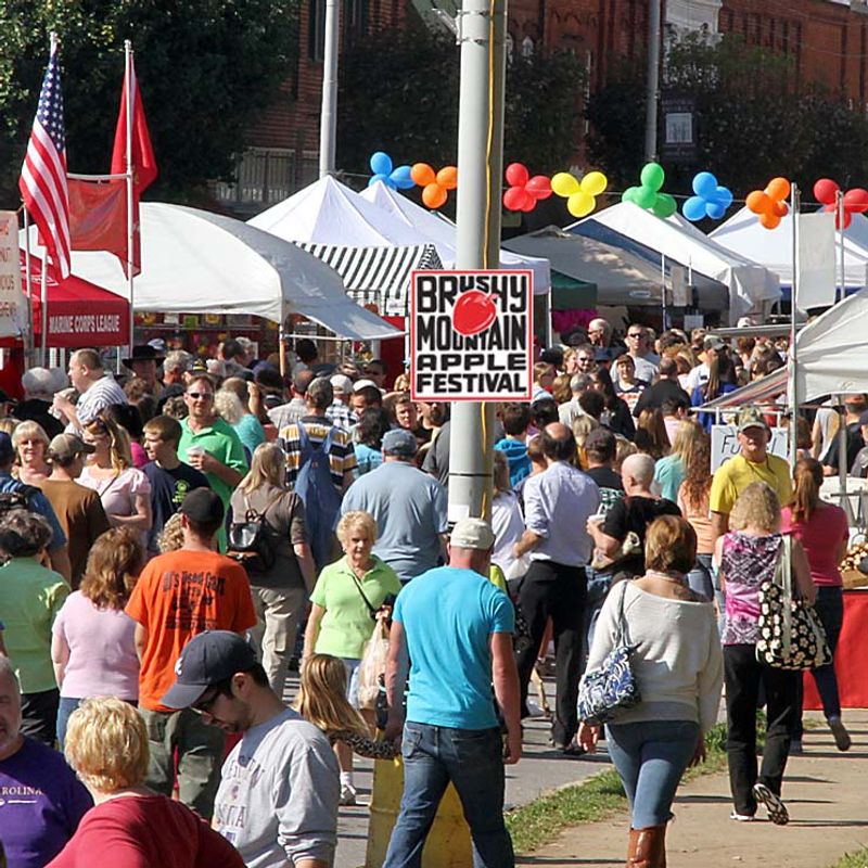 Brushy Mountain Apple Festival — North Wilkesboro
