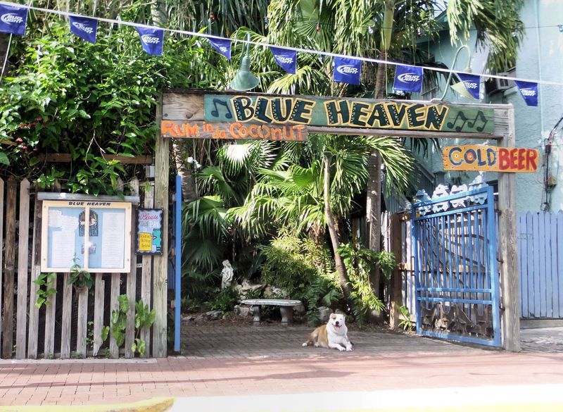 Blue Heaven — Key West