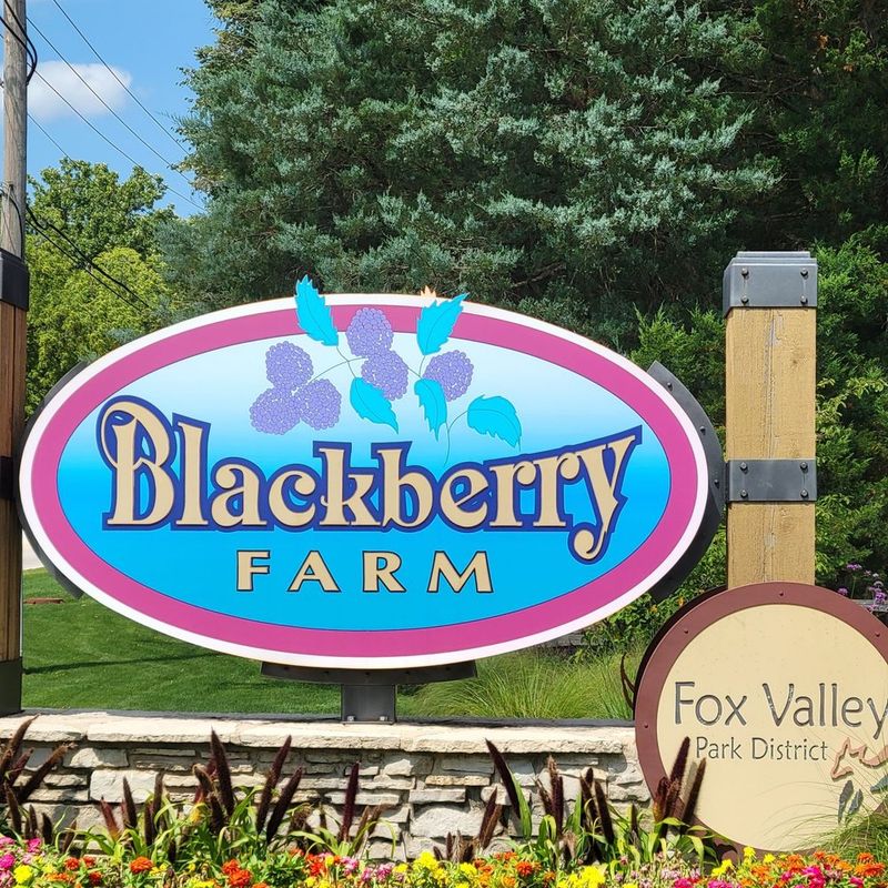 Abbey Farms - Aurora