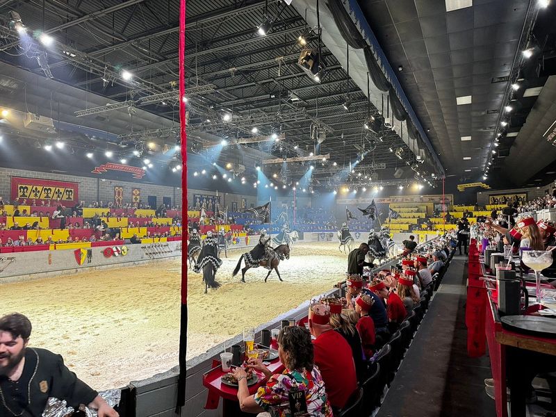 Medieval Times (Dallas Design District) — Dinner & a Knight Show