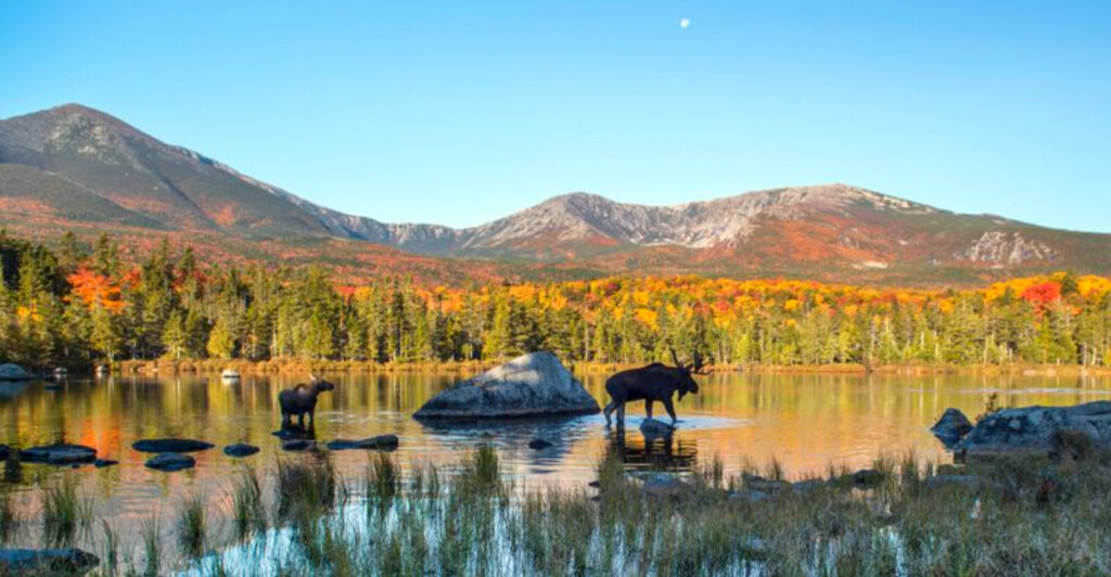 Maine’s Hidden Recreation Paradise Locals Hope You Never Find