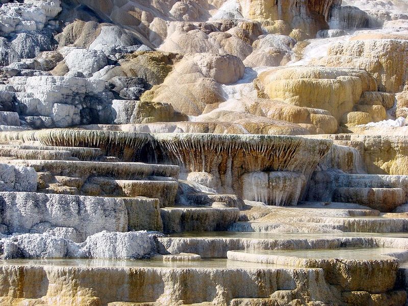 What Makes Mammoth Hot Springs Unique