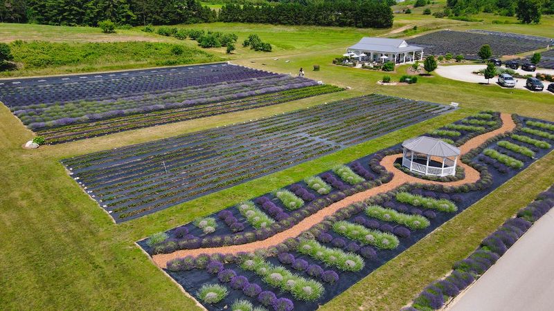 Brys Estate Vineyard & Winery