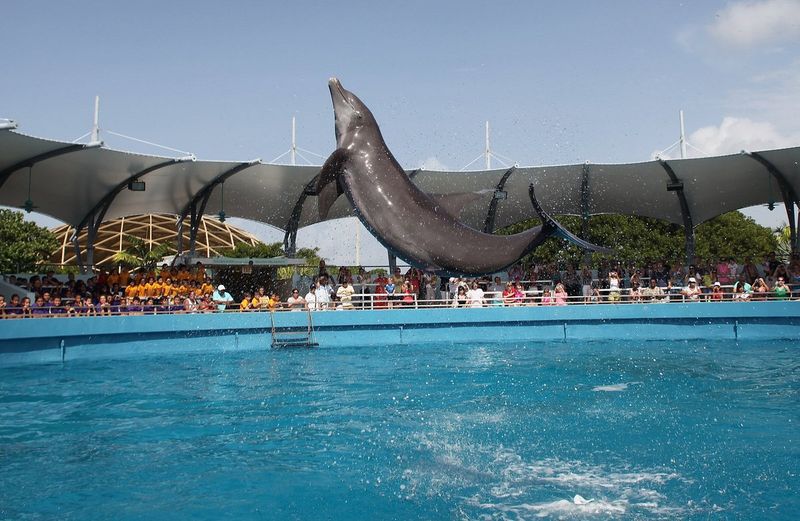 Miami Seaquarium - Virginia Key