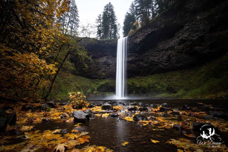 South Falls & Maple Ridge Loop — Silver Falls State Park, Oregon (≈2.6-mile loop, well-maintained)