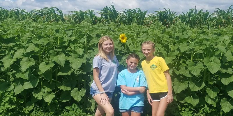 Budget for Affordable Family Admission Prices