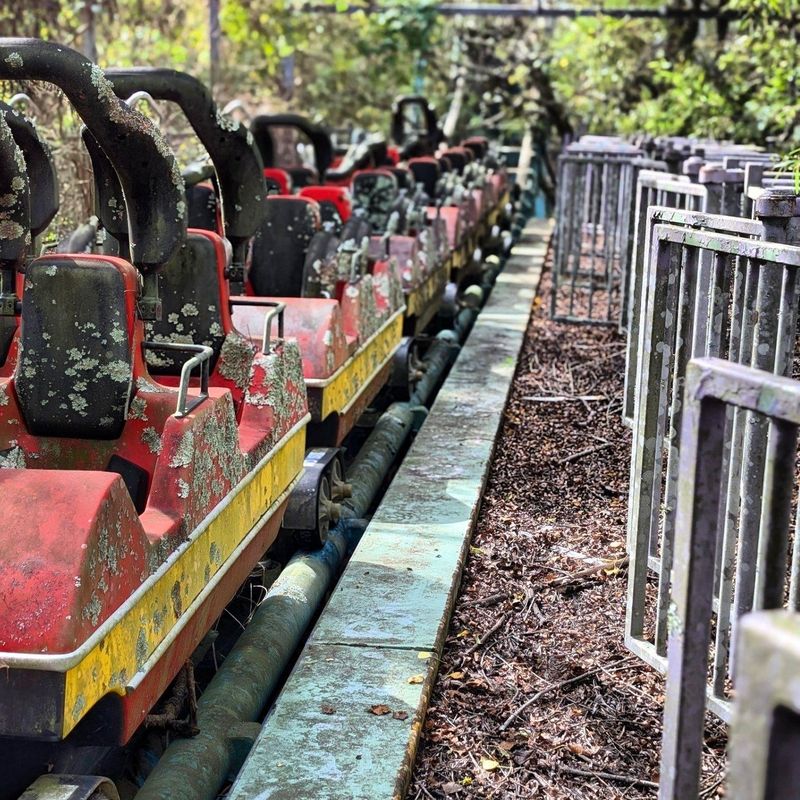 Zydeco Scream: The Boomerang's Journey