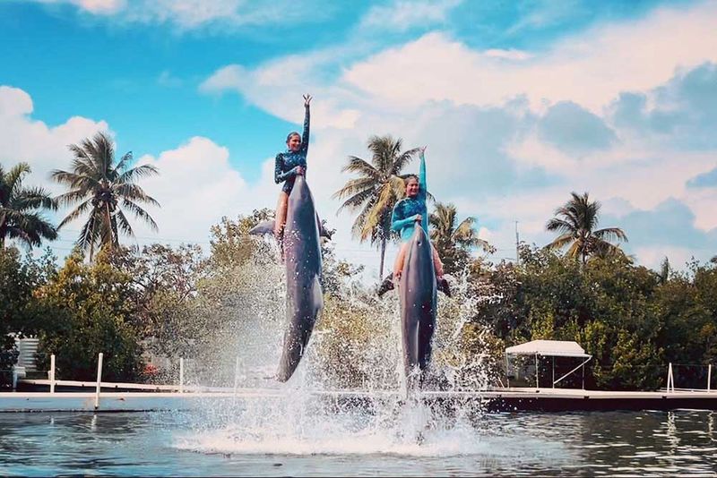 Theater of the Sea - Islamorada