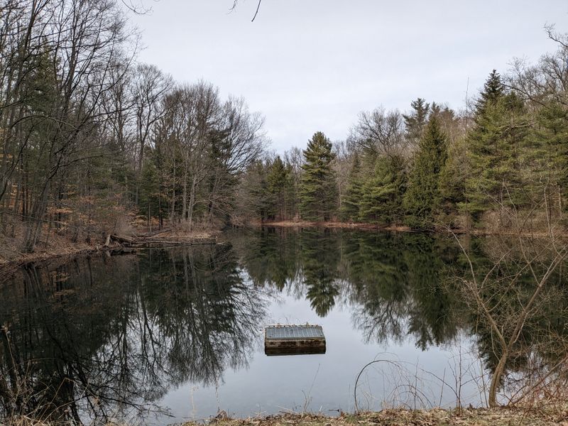 Clear Springs Nature Preserve (Montague)