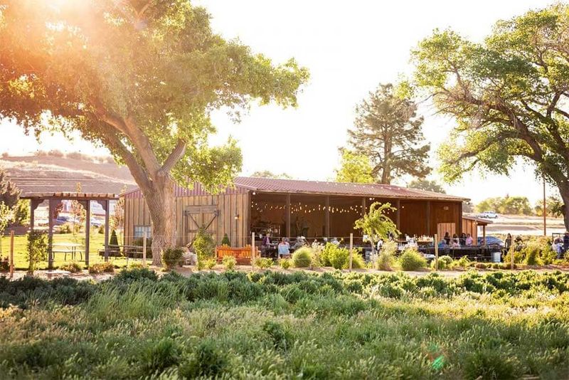 Mortimer Farms Year-Round Attraction