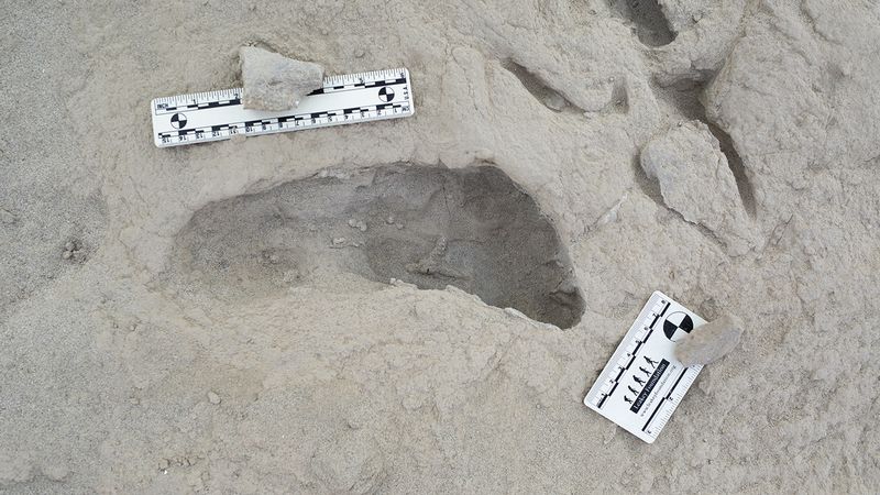 Protecting and Understanding the Find