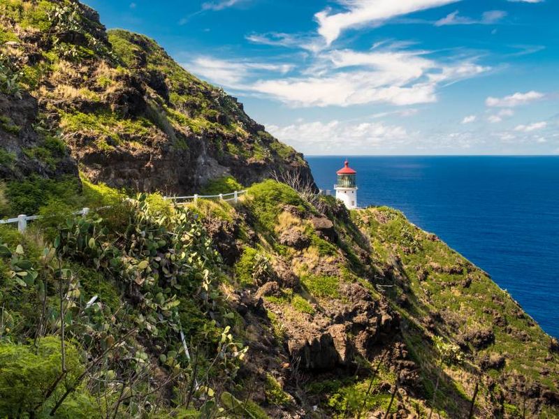 Makapuʻu Point Lighthouse Trail (Oʻahu, HI)