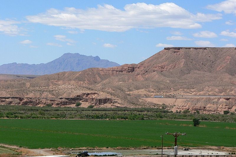 Rainbow Ridge Opal Mine, Virgin Valley, Nevada