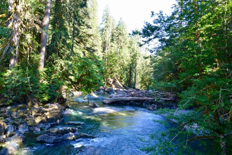 Staircase Rapids — Olympic NP, WA