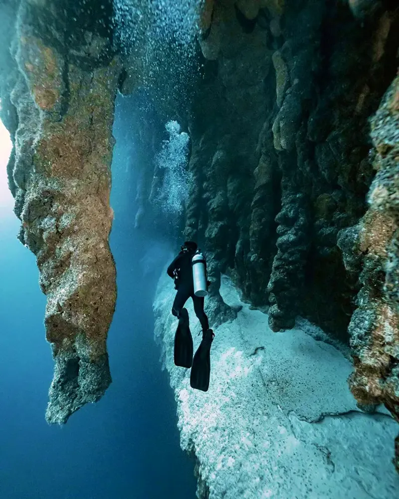 The Deep Silence and Strange Ecology