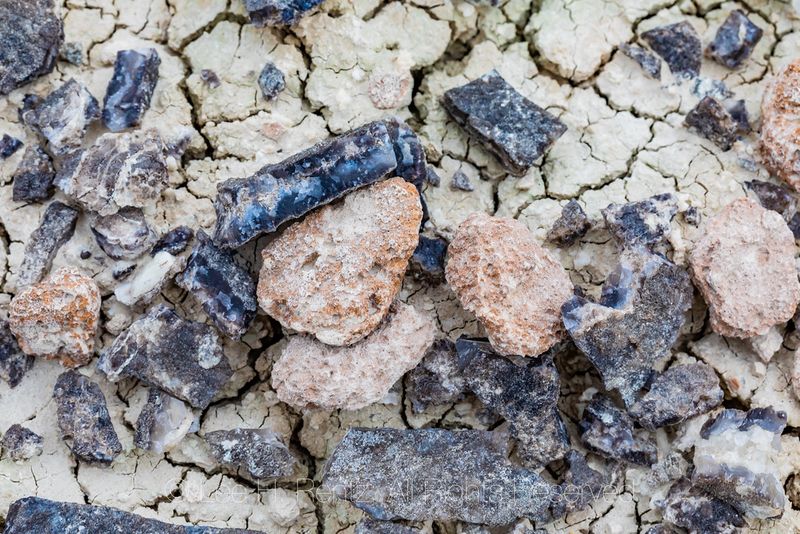 Respect the Ancient Fossils and Geological Treasures