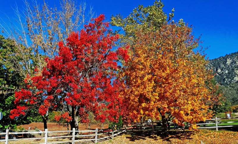 Take Advantage of the Scenic Drive