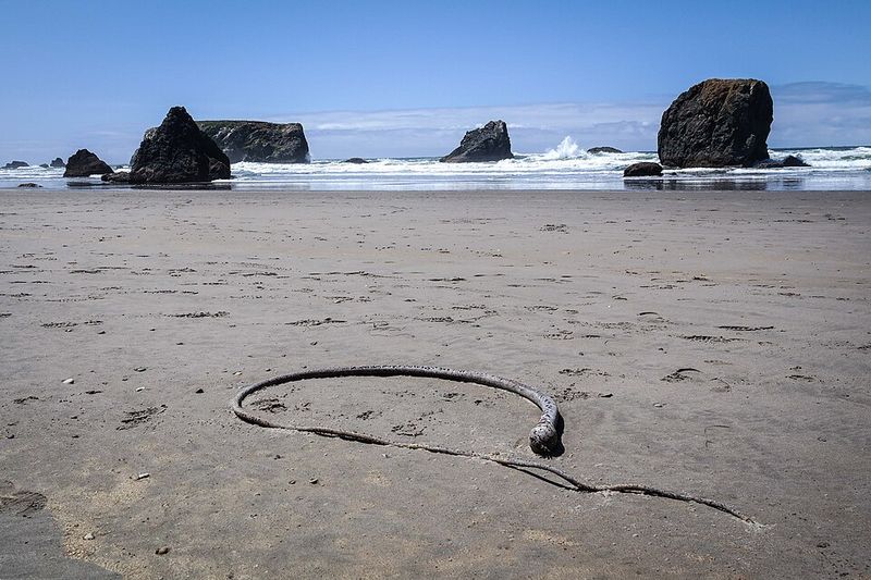 Beaches Like Movie Sets