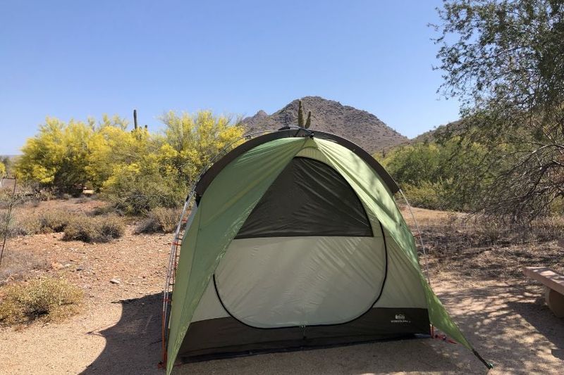 REI Co-op Wonderland 6