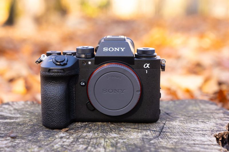 Sony A1