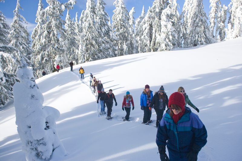 Ranger-Guided Snowshoe Walks — Crater Lake National Park, Oregon