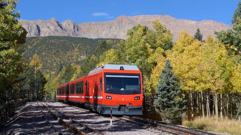 Golden Aspens—Right From Your Seat