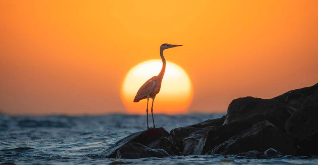 North Carolina’s Tiny Coastal Town Between Wilmington and Myrtle Beach Hides Miles of Scenic Marshes