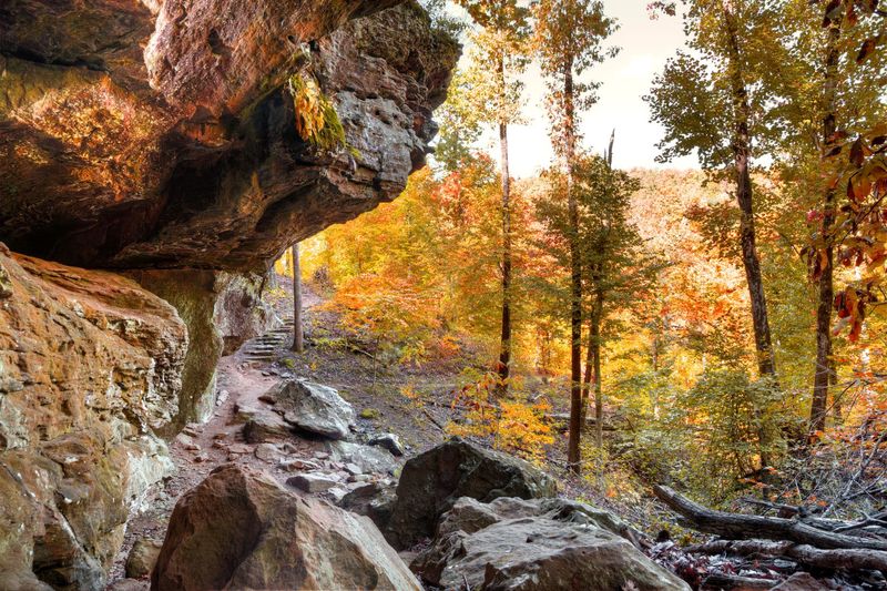 Ozark Highlands Trail, Boston Mountains segment (AR) — Bluff lines & bigleaf color