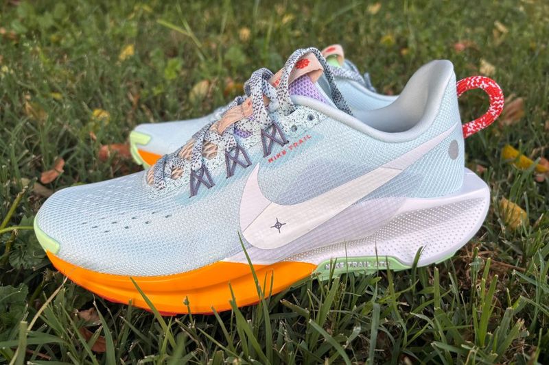 Nike Pegasus Trail 5