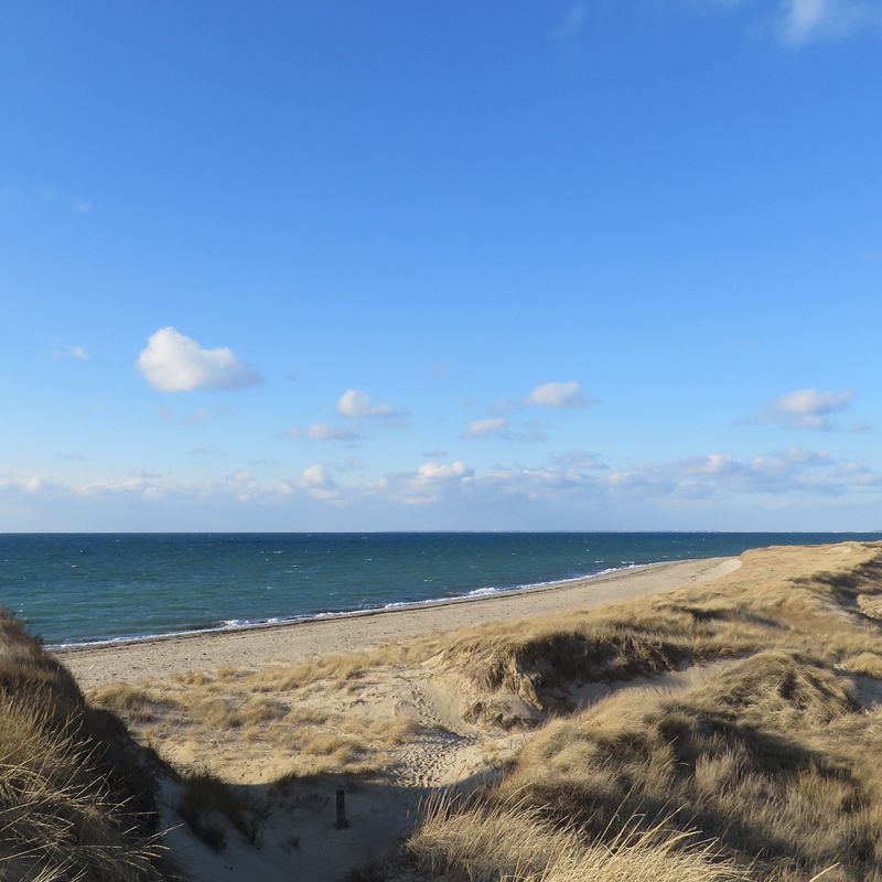 Great Island Trail, Cape Cod National Seashore — Massachusetts