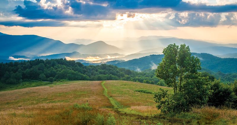 Max Patch – Bald Mountain Summit
