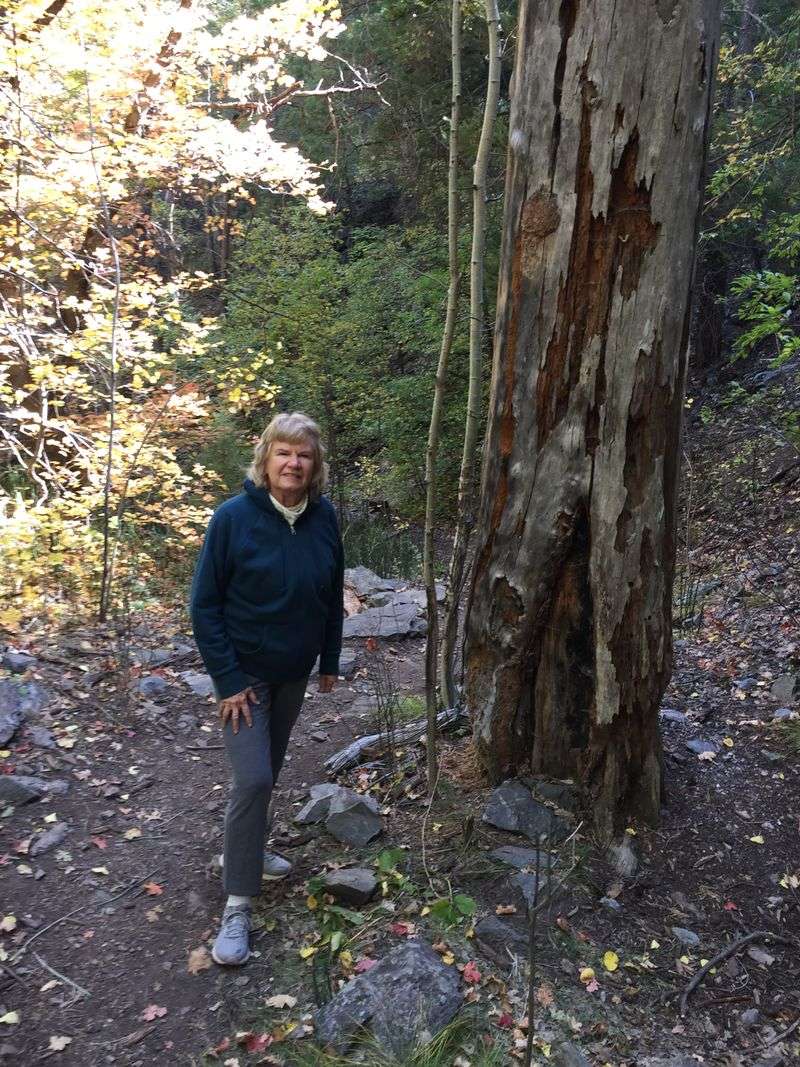 Fourth of July Canyon Loop, Manzano Mountains (NM) — Rare red maples in the Southwest