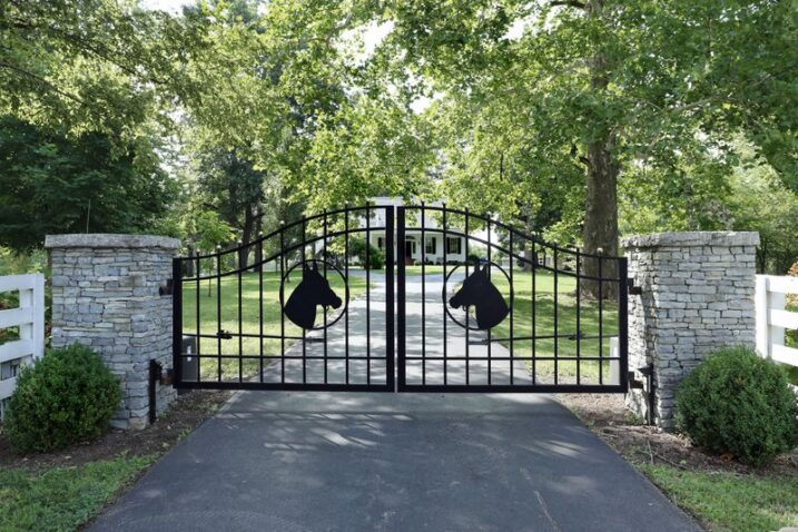 9 Scenic Kentucky Horse Country Drives You’ll Never Forget